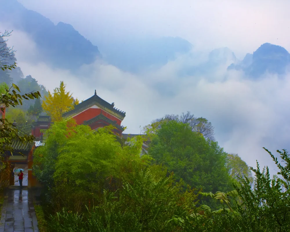 企业微信截图_17504084022932